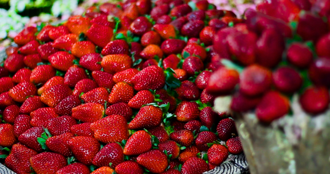 FESTA DO MORANGO DE JARINU E ATIBAIA ATÉ 20 DE JULHO